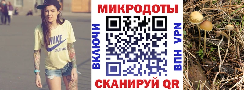 Галлюциногенные грибы Cubensis  Карасук 
